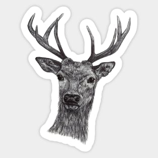 animal deer face in black and white Sticker